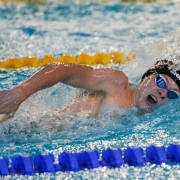 36905898_1987040037986843_67165037877264384_n