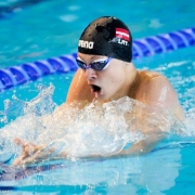 36937347_1987040307986816_4265733498020560896_n